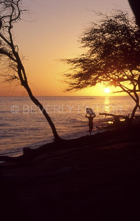 Sunset Island;ocean;yellow;colorful;red;water;sunset;sillouettes;sky;trees;Hawaii